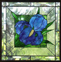 iris.jpg (75527 bytes)