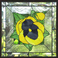 pansy.jpg (70916 bytes)