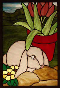 Bunny.jpg (25726 bytes)
