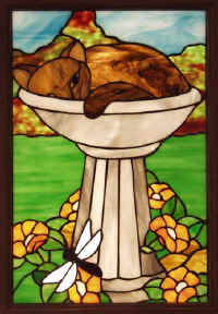 Cat.jpg (31432 bytes)